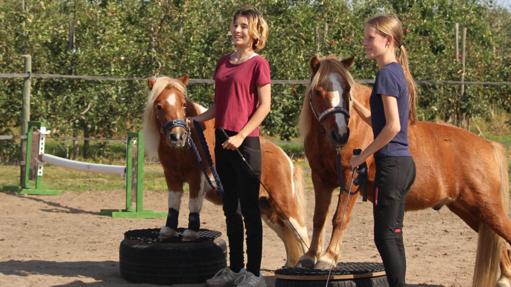 Ponyaufführung Obsthof Zeyn - Pferde-Infotag 20.09.25 - Fotos Mandy Edelstein (338)